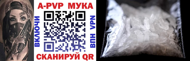 Alfa_PVP СК КРИС Тара