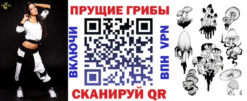 наркотики  Тара  Псилоцибиновые грибы Cubensis 