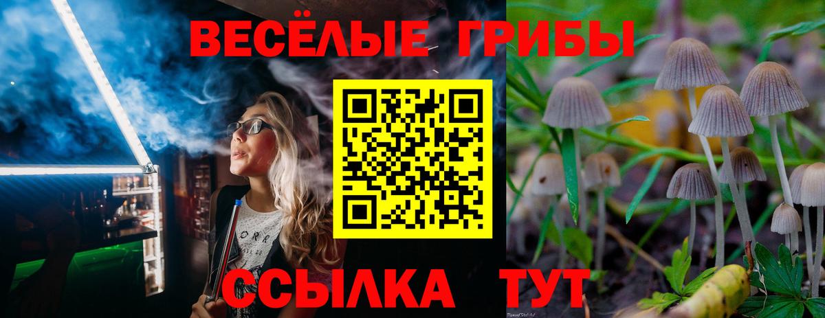 Тара  закладка  Вход с VPN  Галлюциногенные грибы прущие грибы 