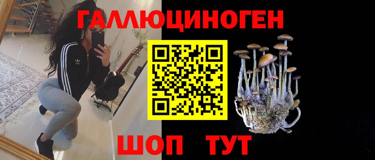Галлюциногенные грибы Psilocybe Тара