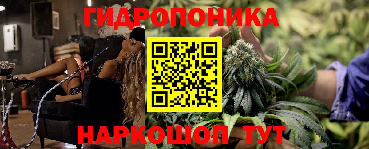 Бошки Шишки тримм Тара